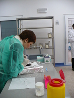 P1010028.JPG